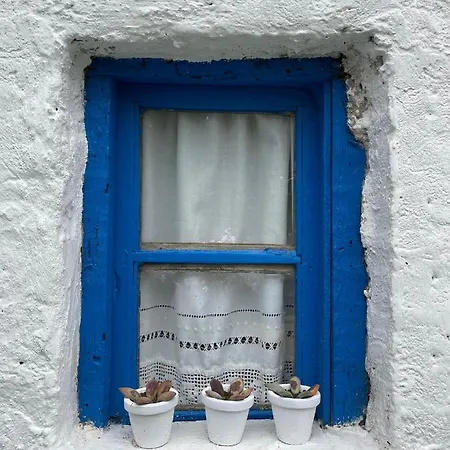 Casa Fulanita *